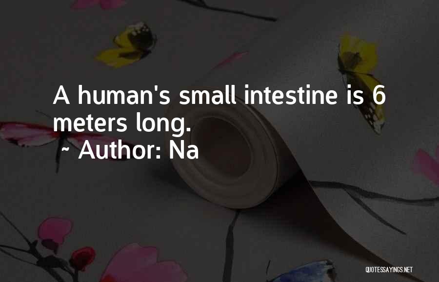 Small Intestine Quotes By Na