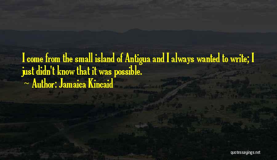 Small Island Quotes By Jamaica Kincaid