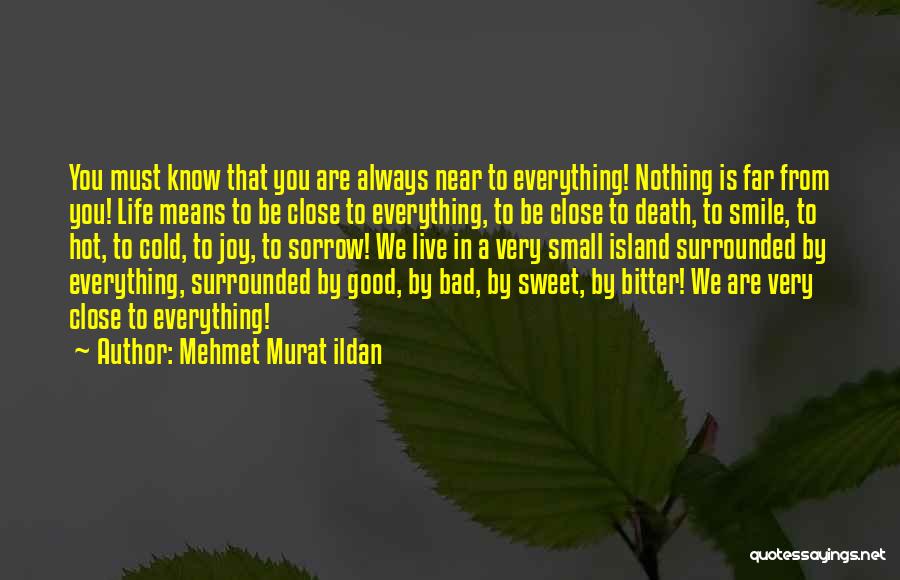 Small Island Quotes By Mehmet Murat Ildan