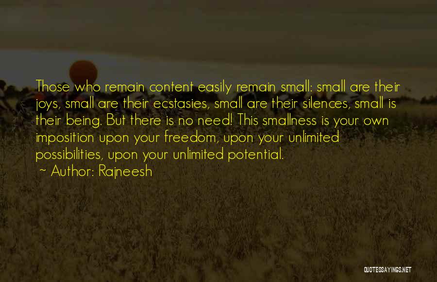 Small Joys Quotes By Rajneesh