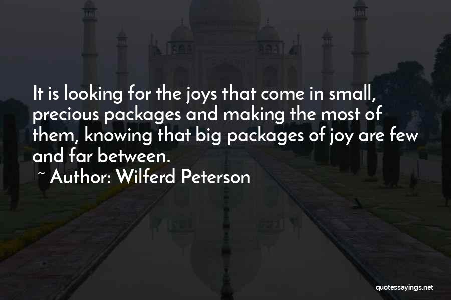 Small Joys Quotes By Wilferd Peterson