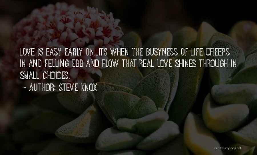 Small Life And Love Quotes By Steve Knox