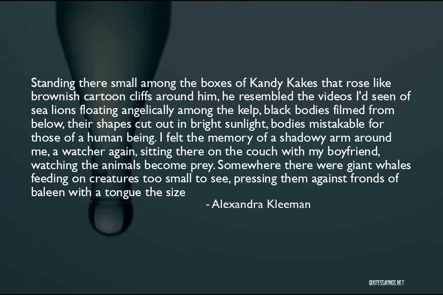 Small Memory Quotes By Alexandra Kleeman Small Memory Quotes By Alexandra Kleeman