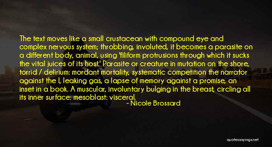 Small Memory Quotes By Nicole Brossard Small Memory Quotes By Nicole Brossard