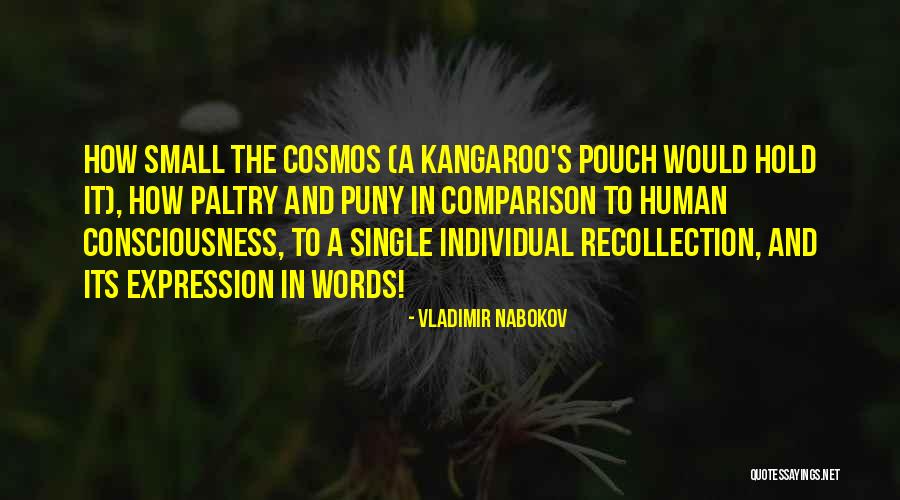 Small Memory Quotes By Vladimir Nabokov Small Memory Quotes By Vladimir Nabokov
