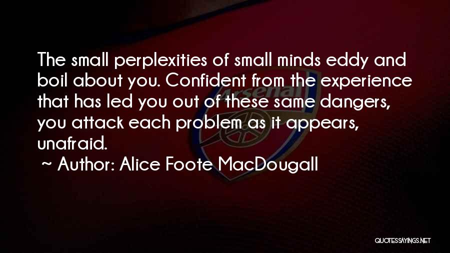 Small Minds Quotes By Alice Foote MacDougall