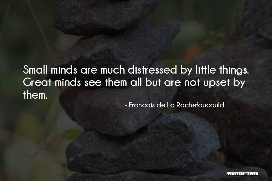 Small Minds Quotes By Francois De La Rochefoucauld