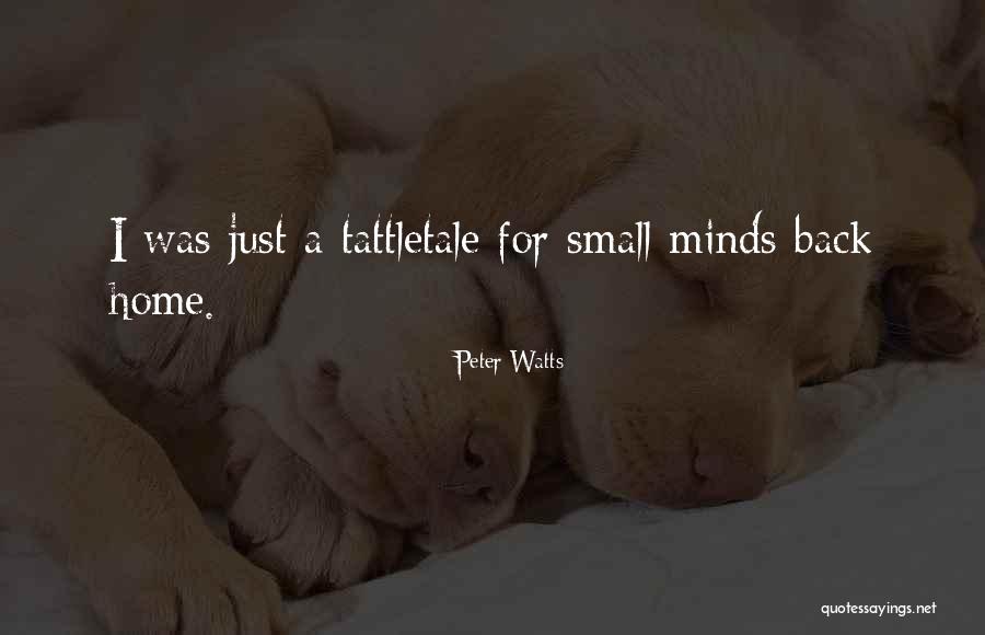 Small Minds Quotes By Peter Watts