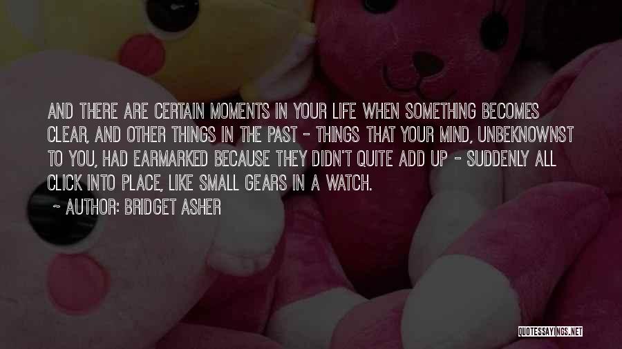 Small Moments Like These Quotes By Bridget Asher