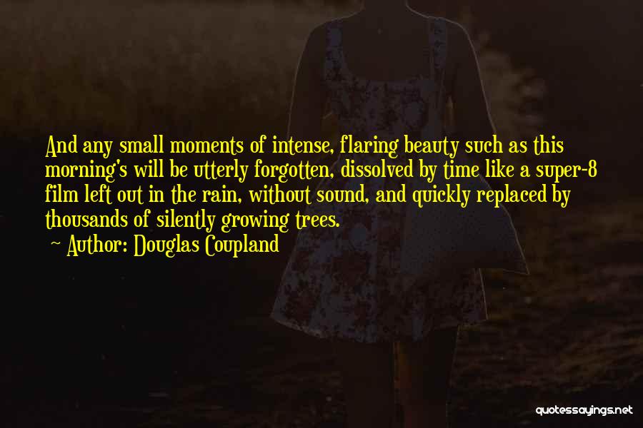 Small Moments Like These Quotes By Douglas Coupland