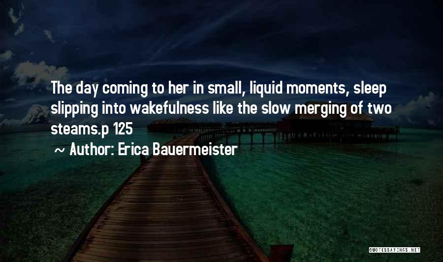 Small Moments Like These Quotes By Erica Bauermeister