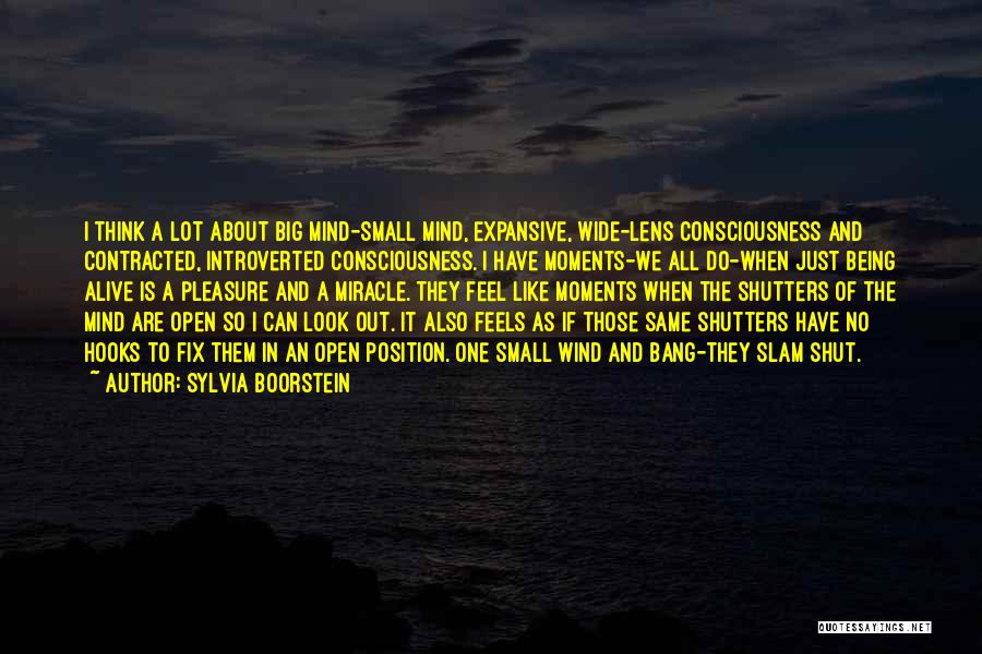 Small Moments Like These Quotes By Sylvia Boorstein