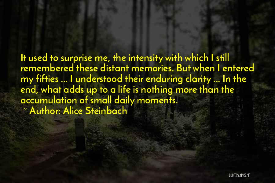 Small Moments Quotes By Alice Steinbach