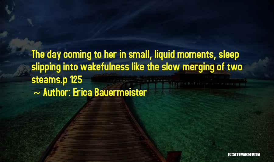 Small Moments Quotes By Erica Bauermeister