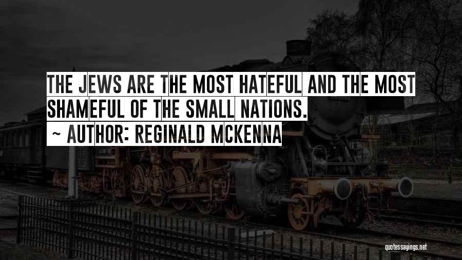 Small Nations Quotes By Reginald McKenna