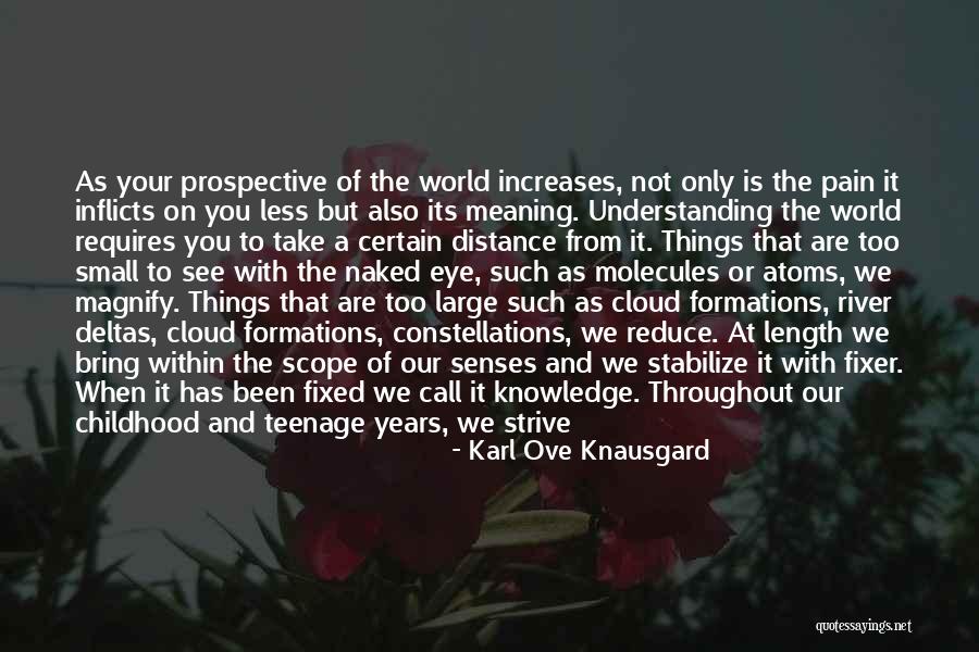 Small Objects Quotes By Karl Ove Knausgard Small Objects Quotes By Karl Ove Knausgard