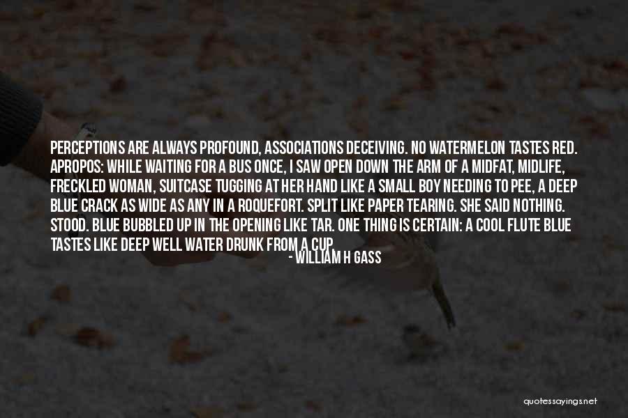 Small One Cup Quotes By William H Gass Small One Cup Quotes By William H Gass
