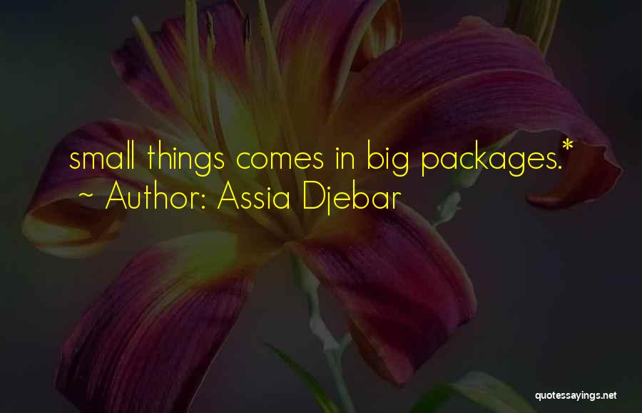 Small Packages Quotes By Assia Djebar