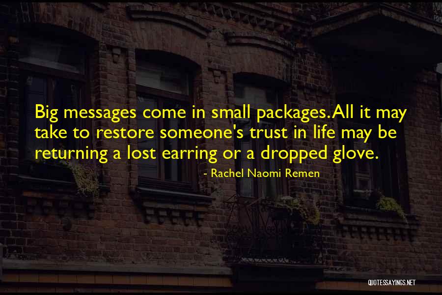 Small Packages Quotes By Rachel Naomi Remen