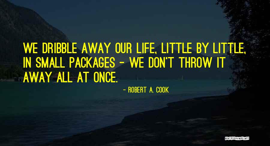 Small Packages Quotes By Robert A. Cook