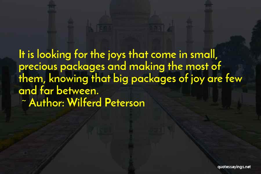 Small Packages Quotes By Wilferd Peterson