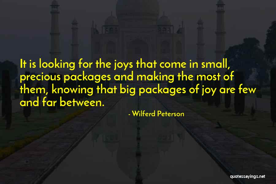 Small Packages Quotes By Wilferd Peterson