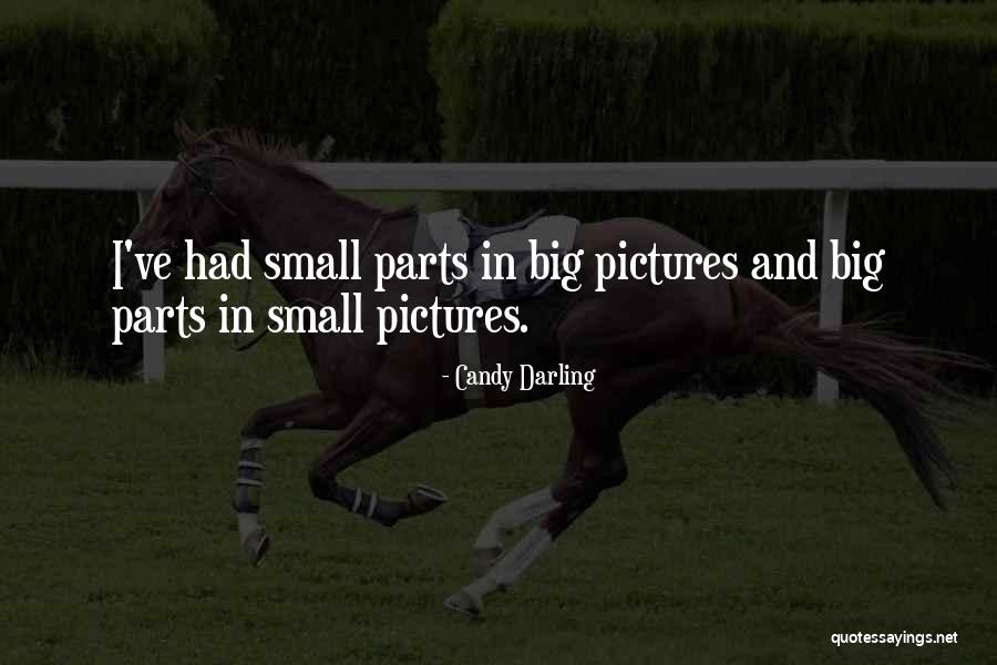Small Parts Quotes By Candy Darling Small Parts Quotes By Candy Darling