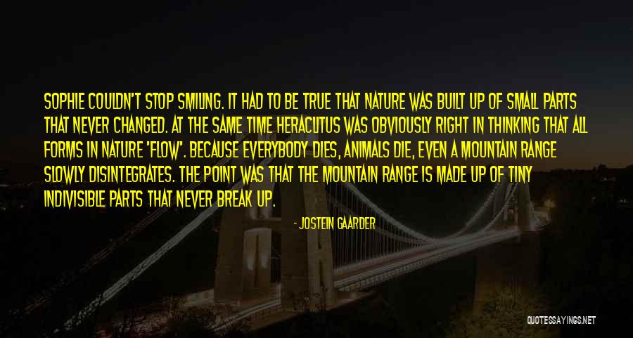 Small Parts Quotes By Jostein Gaarder Small Parts Quotes By Jostein Gaarder