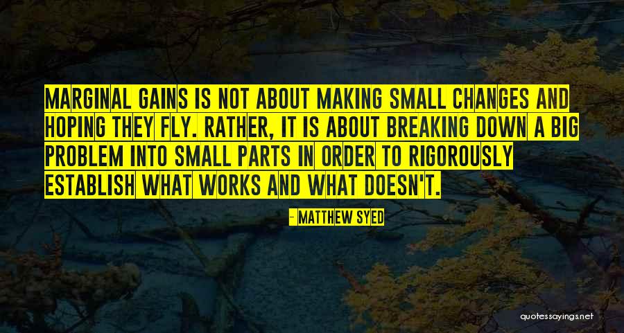 Small Parts Quotes By Matthew Syed Small Parts Quotes By Matthew Syed