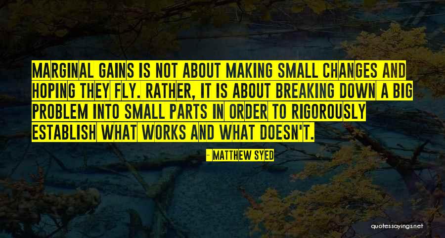 Small Parts Quotes By Matthew Syed