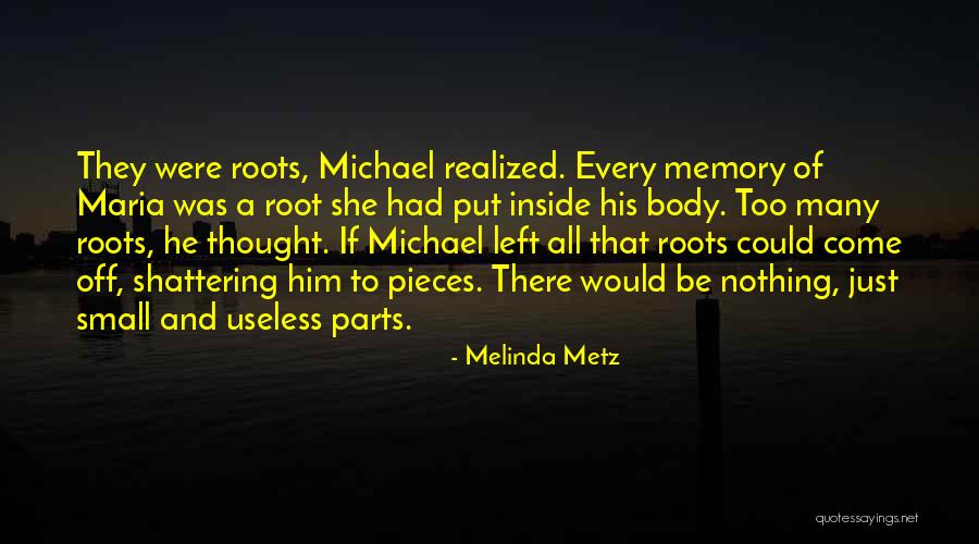 Small Parts Quotes By Melinda Metz