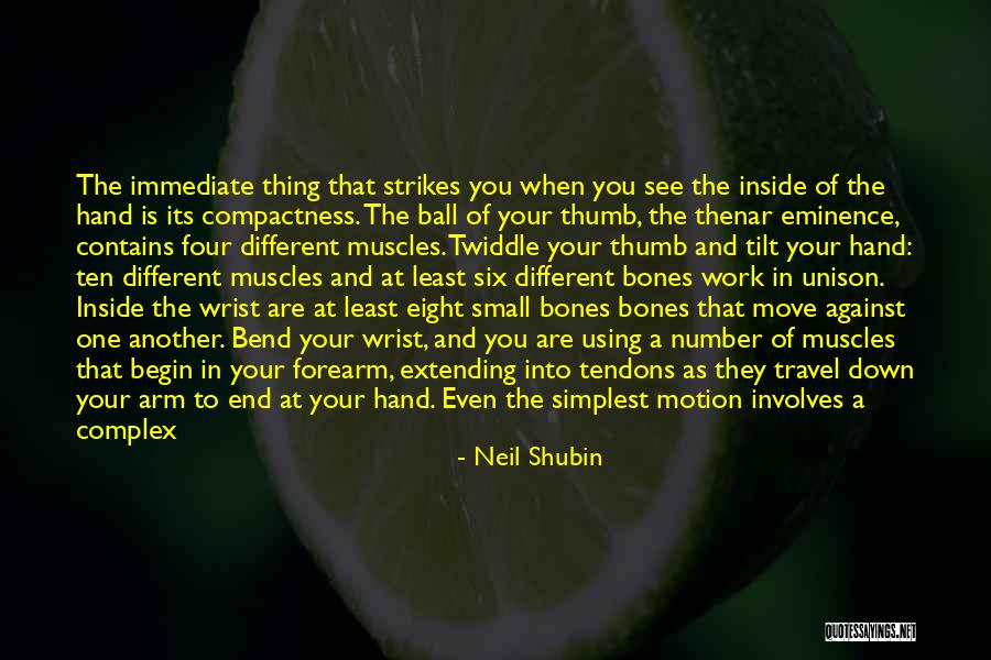 Small Parts Quotes By Neil Shubin Small Parts Quotes By Neil Shubin