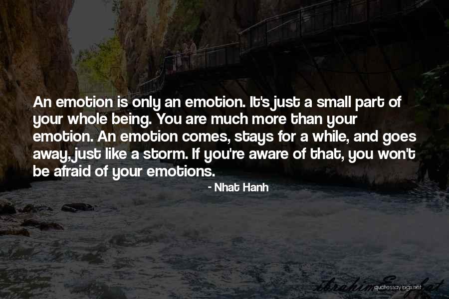 Small Parts Quotes By Nhat Hanh Small Parts Quotes By Nhat Hanh