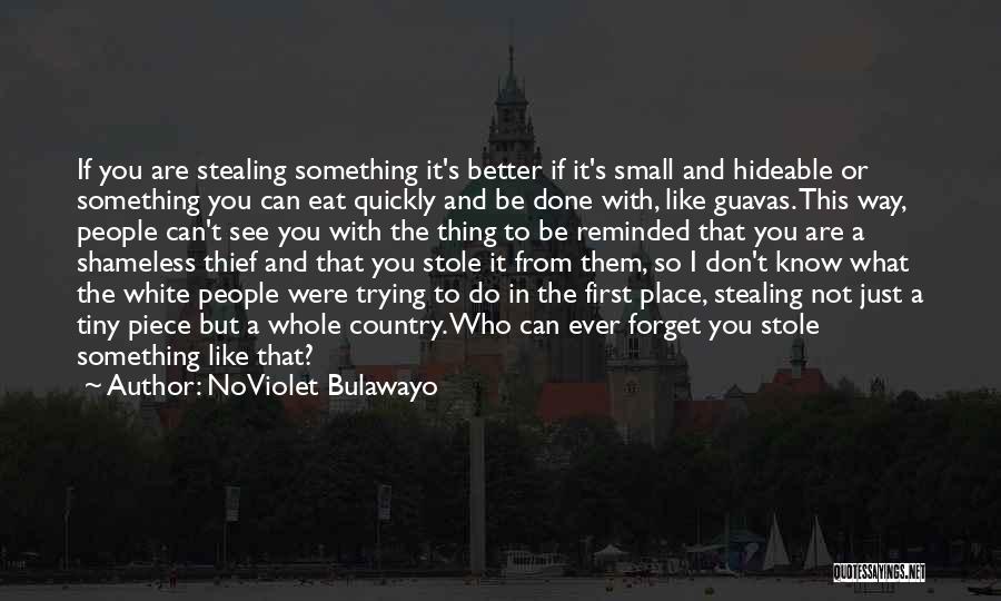 Small Piece Quotes By NoViolet Bulawayo