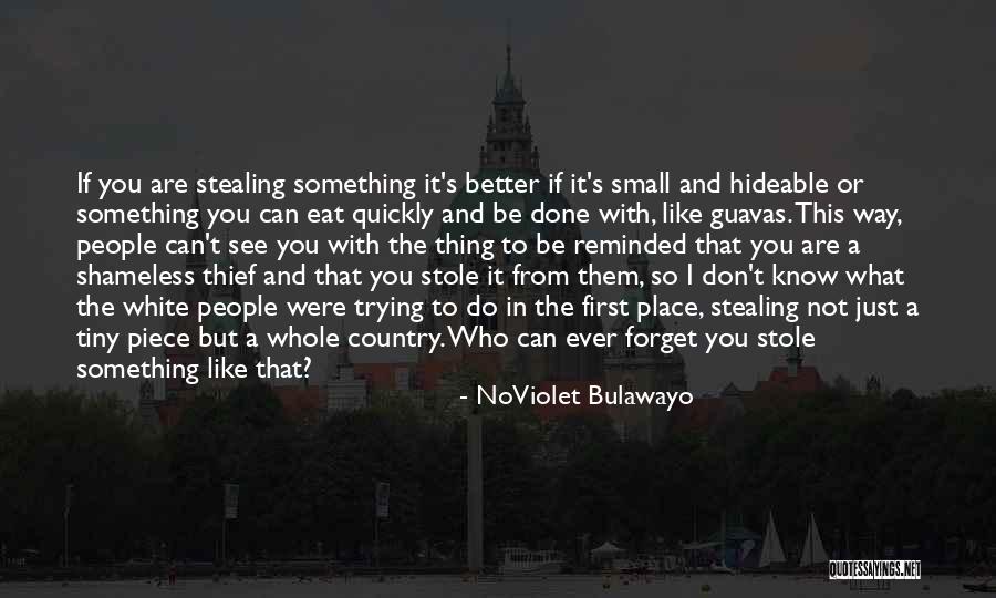 Small Piece Quotes By NoViolet Bulawayo