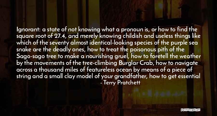 Small Piece Quotes By Terry Pratchett