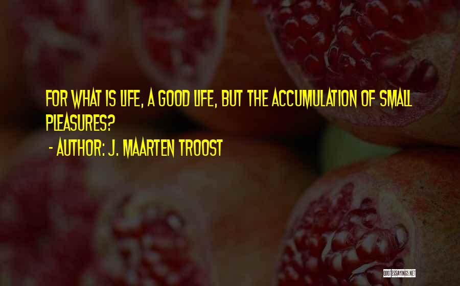 Small Pleasures Of Life Quotes By J. Maarten Troost