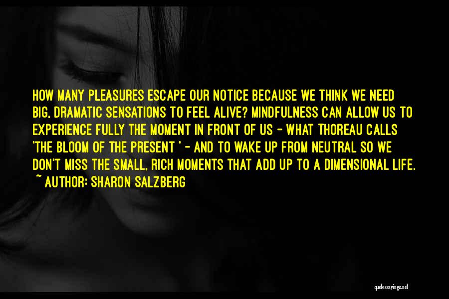 Small Pleasures Of Life Quotes By Sharon Salzberg