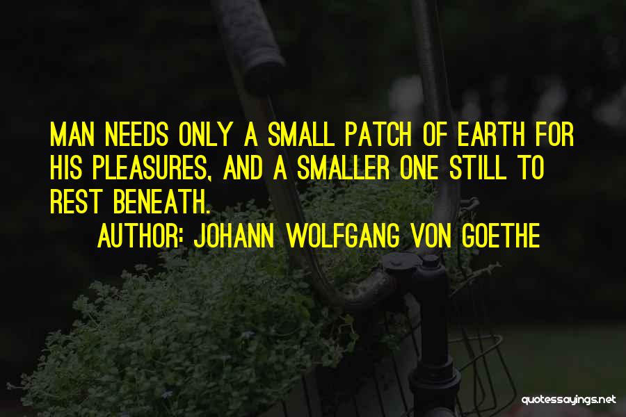 Small Pleasures Quotes By Johann Wolfgang Von Goethe