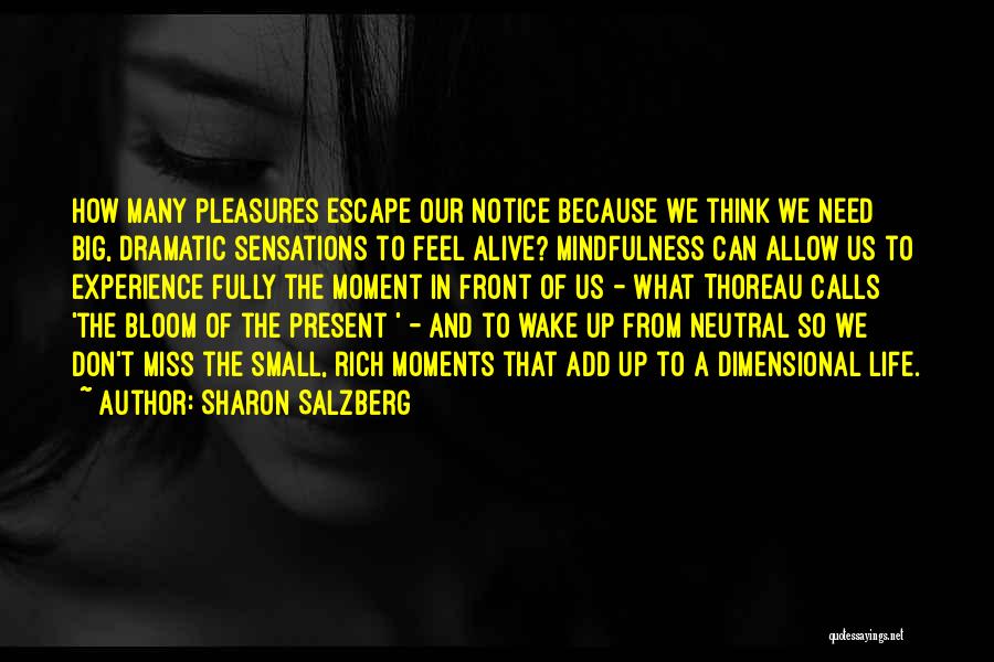 Small Pleasures Quotes By Sharon Salzberg