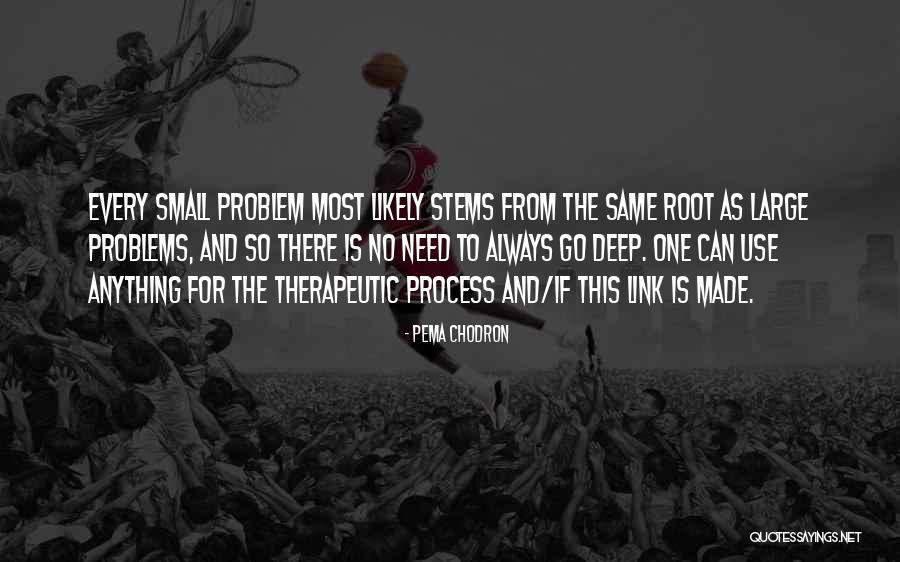 Small Problems Quotes By Pema Chodron Small Problems Quotes By Pema Chodron