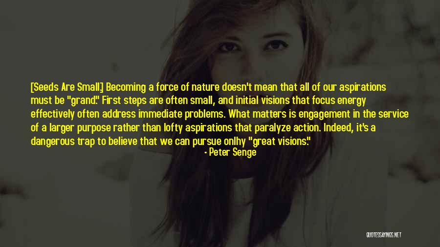 Small Problems Quotes By Peter Senge Small Problems Quotes By Peter Senge