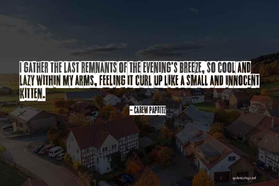 Small Quotes And Quotes By Carew Papritz Small Quotes And Quotes By Carew Papritz