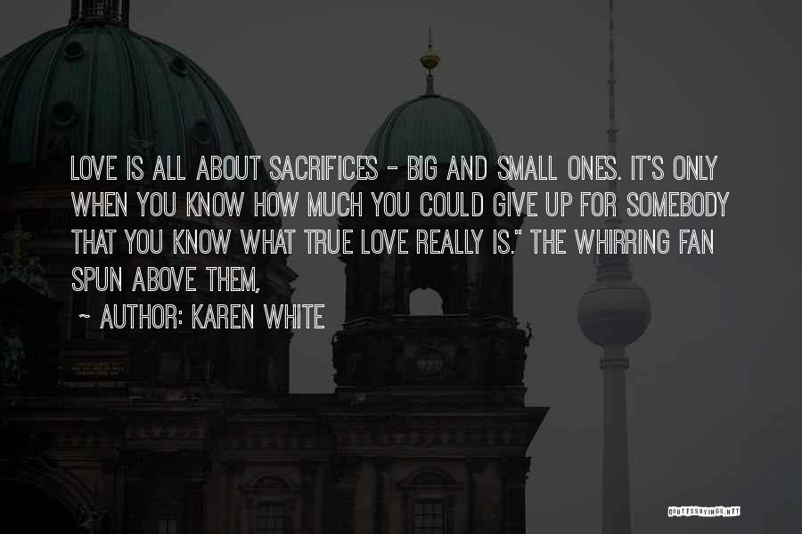 Small Sacrifices Quotes By Karen White