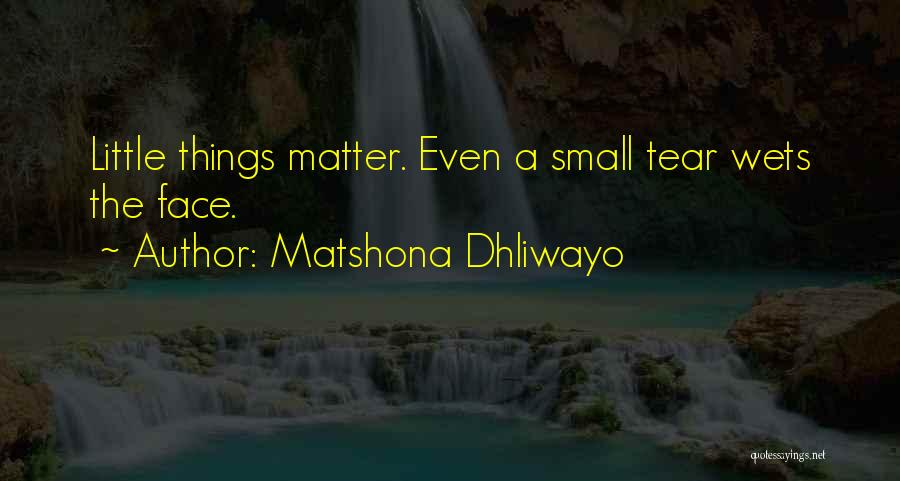 Small Sayings And Quotes By Matshona Dhliwayo