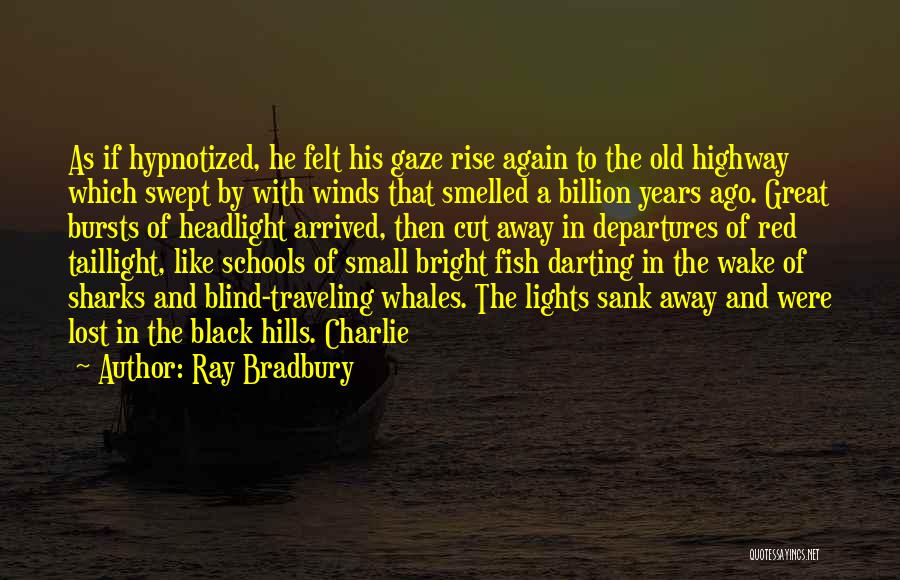 Small Schools Quotes By Ray Bradbury