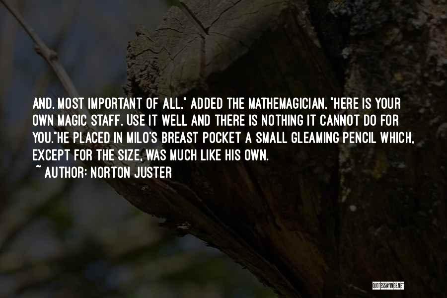 Small Size Quotes By Norton Juster