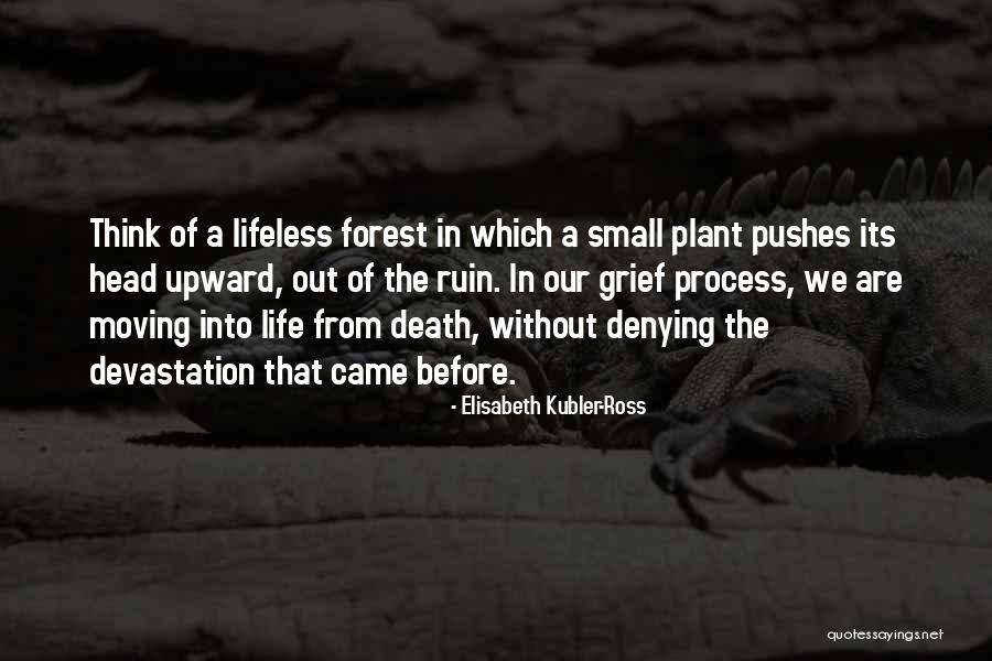 Small Small Quotes By Elisabeth Kubler-Ross Small Small Quotes By Elisabeth Kubler-Ross