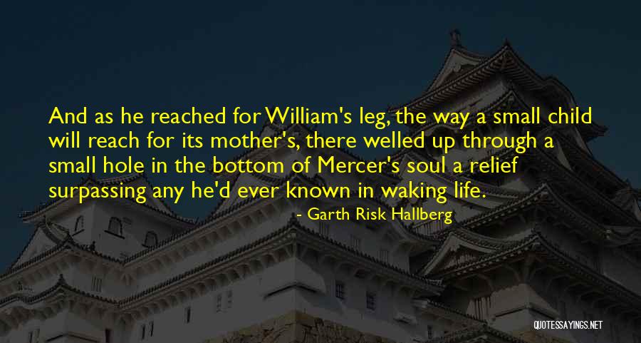 Small Small Quotes By Garth Risk Hallberg Small Small Quotes By Garth Risk Hallberg