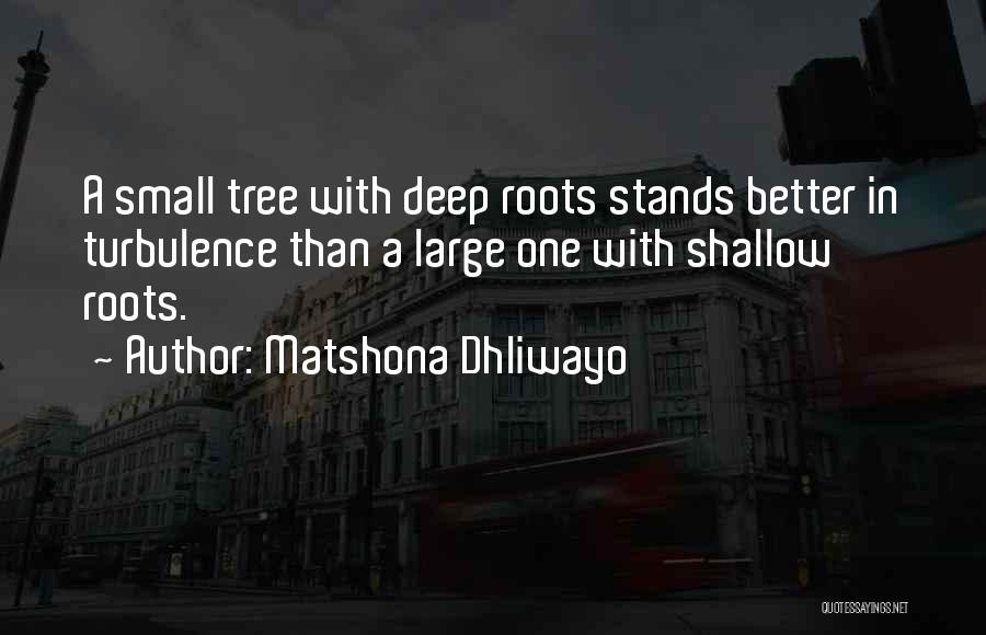 Small Small Quotes By Matshona Dhliwayo